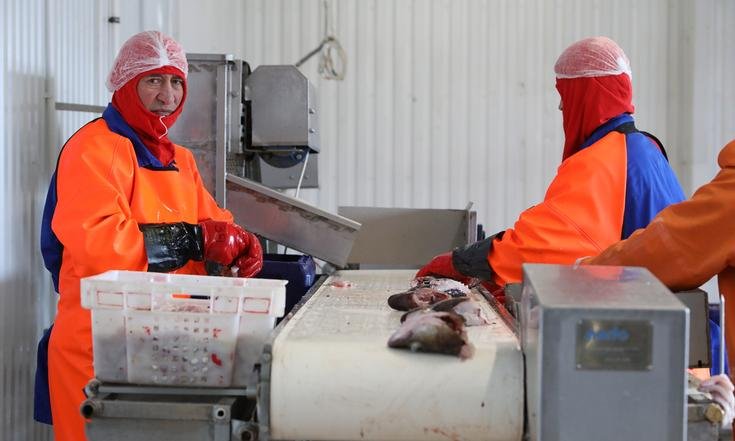 Мурманская область