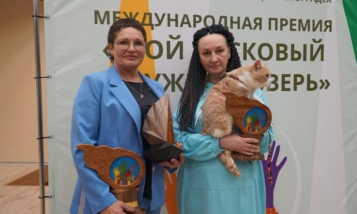 премия