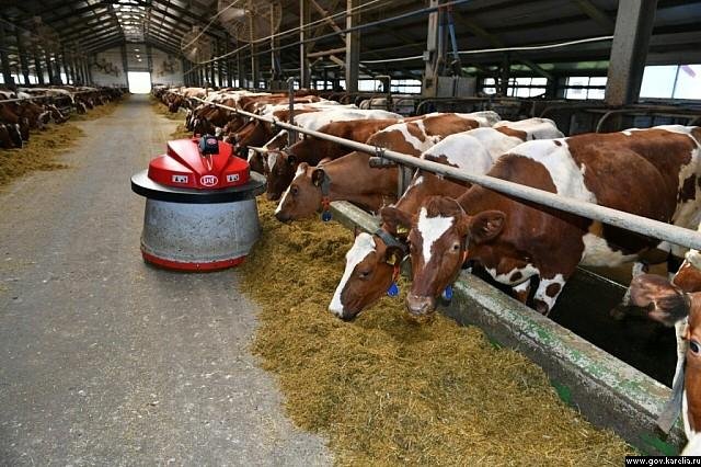 Рабочая поездка в Республику Карелия