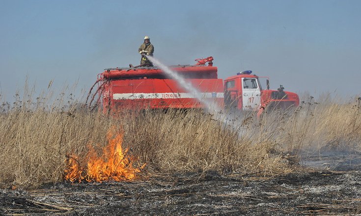 Лесные пожары