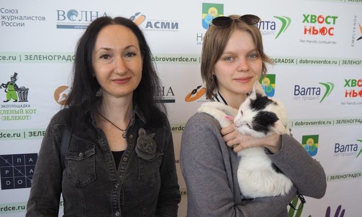 премия