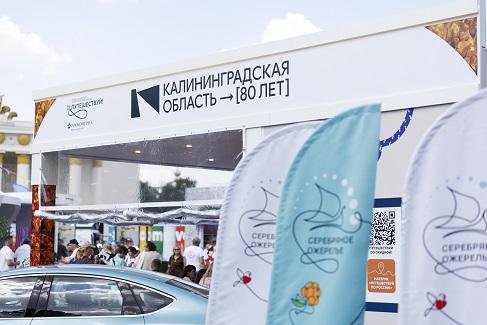 фотолента